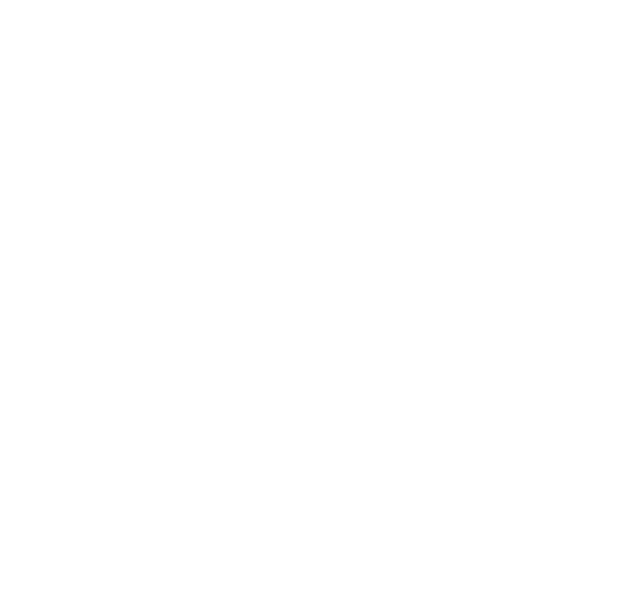 Sinaya Boutique Wigs